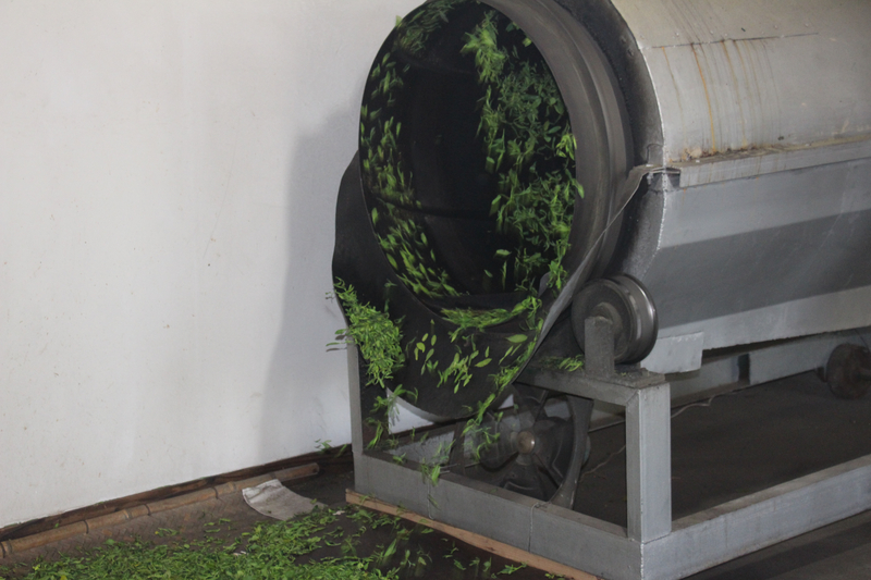 1524124665779041186.jpg 6.jpg