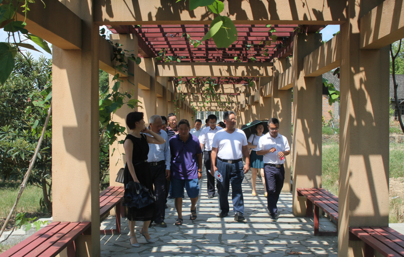 1533213419582028523.jpg IMG_0657_meitu_1.jpg