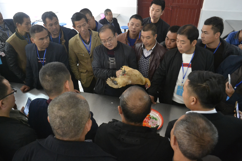 1545201162485005896.jpg _DSC0296.jpg