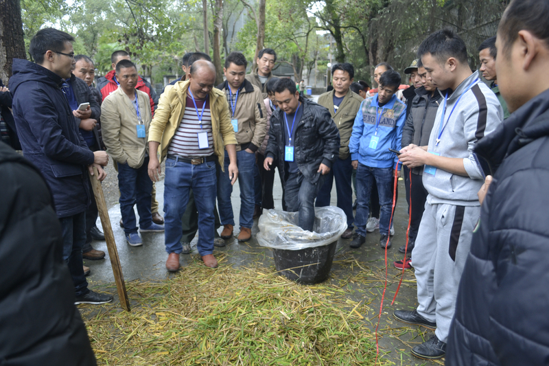 1545201219659003231.jpg _DSC0363.jpg