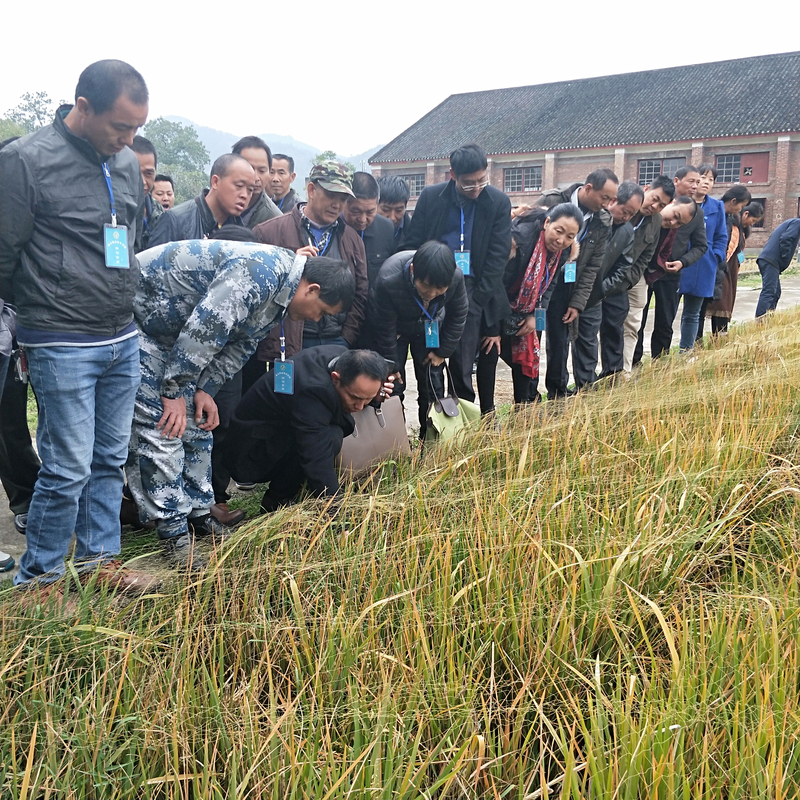 1545201254774073087.jpg 2.jpg