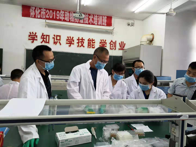 1562664657553016081.jpg 2.jpg