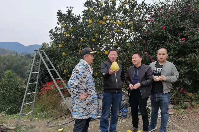 1605968161752095418.jpeg WechatIMG806.jpeg