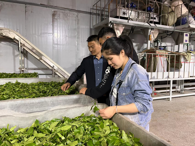 1652256492277079888.jpg 微信图片_20220510093513.jpg