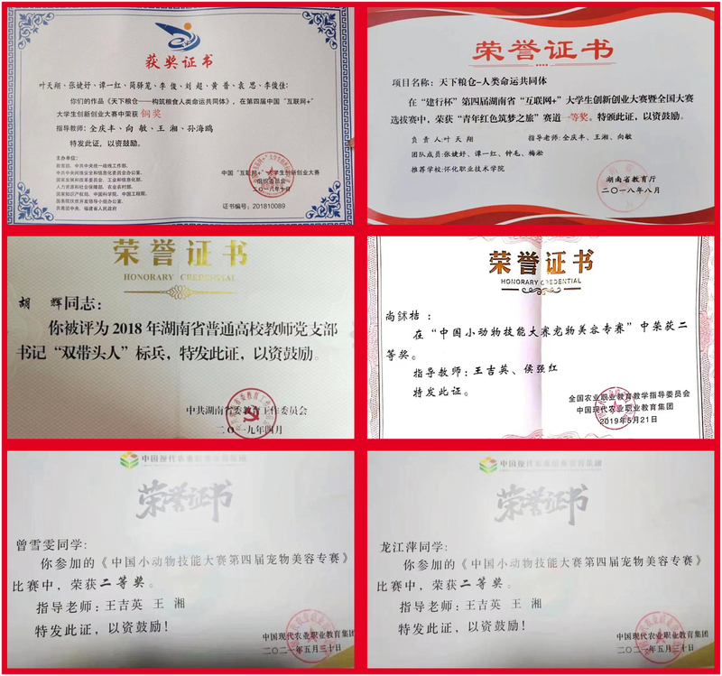 1660201661279018280.jpg 2荣誉拼图.jpg