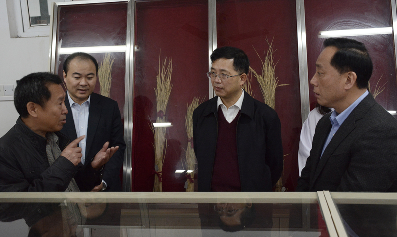 1510052156376012008.jpg DSC_0216.jpg